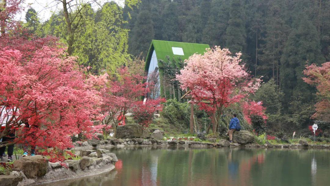 CPO概念尾盘强劲回升，剑桥科技豪取5天4板