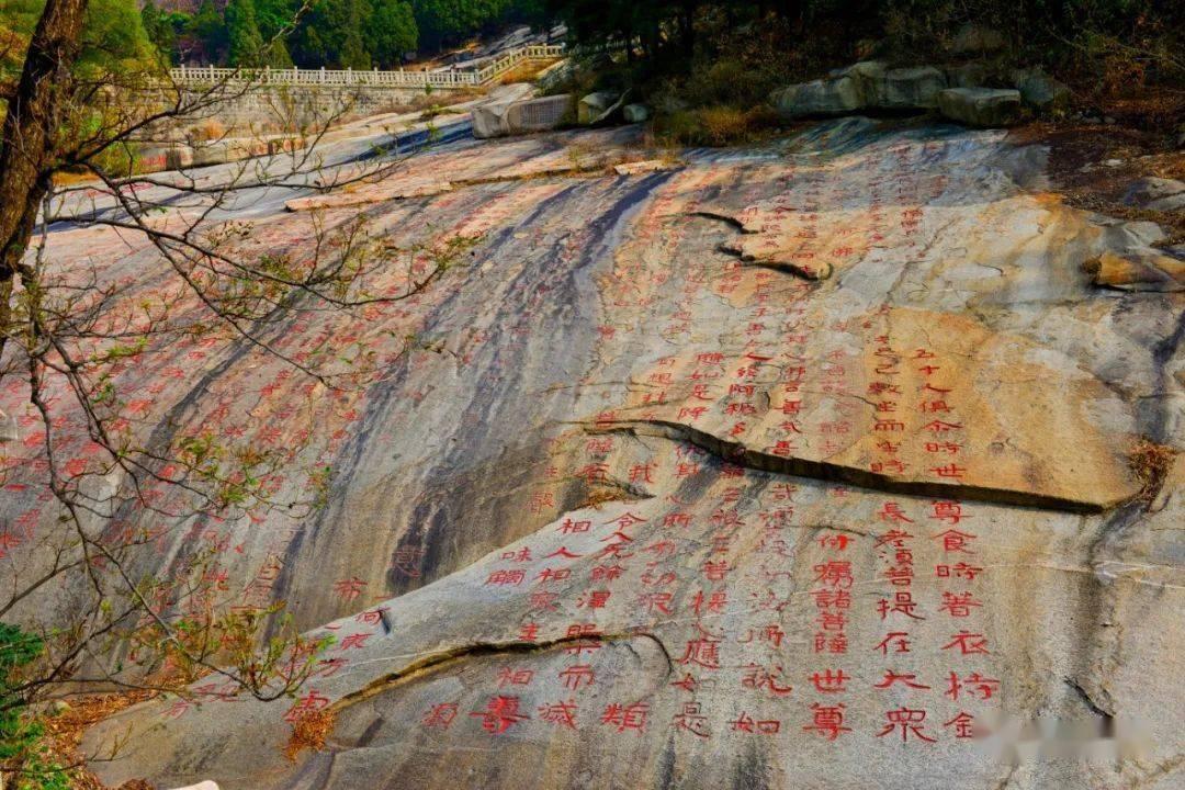 无限翻滚小球