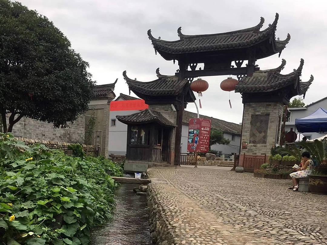 拯救老科学家
